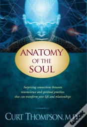Capa do artigo Anatomy Of The Soul