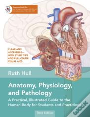 Anatomy, Physiology, And Pathology