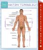 Anatomy Terminology (Speedy Study Guides) - Preview