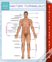 Capa do artigo Anatomy Terminology (Speedy Study Guides)