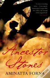 Capa do artigo Ancestor Stones