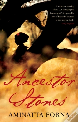 Capa do artigo Ancestor Stones