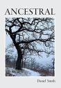 Ancestral - Preview