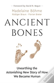 Capa do artigo Ancient Bones