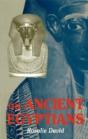 Ancient Egyptians - Preview
