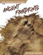 Ancient Footprints - Preview