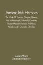 Ancient Irish Histories - Preview