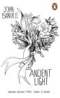 Ancient Light - Preview