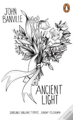Capa do artigo Ancient Light