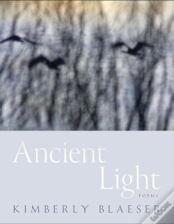 Capa do artigo Ancient Light