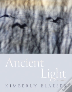 Capa do artigo Ancient Light
