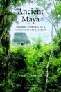 ANCIENT MAYA - Preview