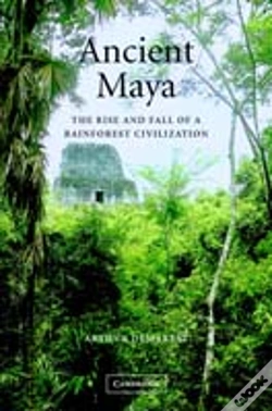 Capa do artigo ANCIENT MAYA