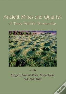 Capa do artigo Ancient Mines And Quarries