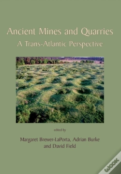 Capa do artigo Ancient Mines And Quarries