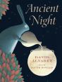 Ancient Night - Preview