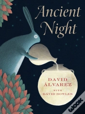 Capa do artigo Ancient Night