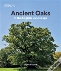 Ancient Oaks