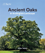 Ancient Oaks - Preview