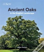 Capa do artigo Ancient Oaks