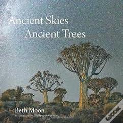 Ancient Skies, Ancient Trees