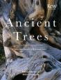 Ancient Trees - Preview