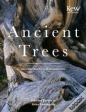 Capa do artigo Ancient Trees