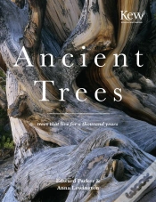 Capa do artigo Ancient Trees