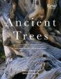 Ancient Trees - Preview