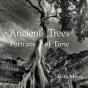 Ancient Trees - Preview