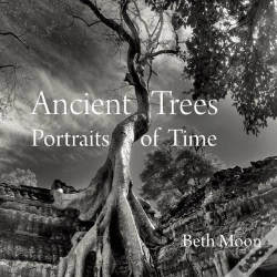 Capa do artigo Ancient Trees