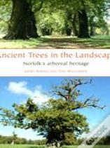 Ancient Trees In The Landscape