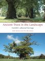 Ancient Trees In The Landscape - Preview