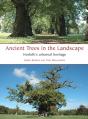 Ancient Trees In The Landscape - Preview