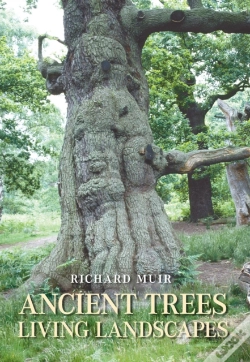 Capa do artigo Ancient Trees, Living Landscapes