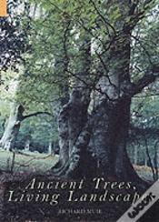 Capa do artigo Ancient Trees, Living Landscapes