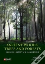 Ancient Woods, Trees And Forests