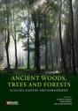 Ancient Woods, Trees And Forests - Preview