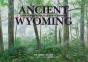 Ancient Wyoming - Preview