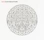 And The Adjacent Possible - CD - Preview