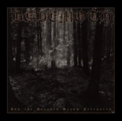 Capa do artigo And the Forests Dream Eternally - Vinil