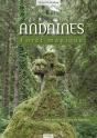 Andaines ; Forêt Magique - Preview
