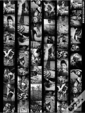 Capa do artigo Anders Petersen Stockholm /Anglais
