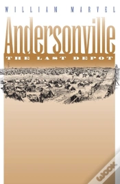Capa do artigo Andersonville