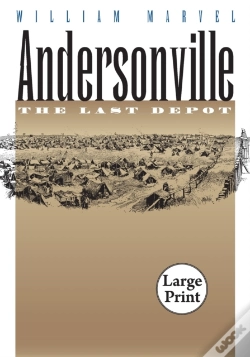 Capa do artigo Andersonville