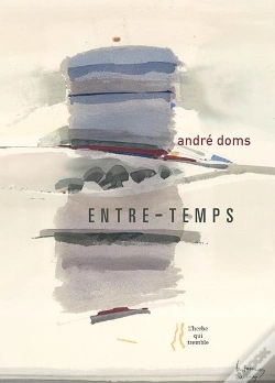 Capa do artigo Andre Doms : Entre Temps