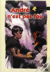 Capa do artigo Andre N