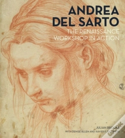 Capa do artigo Andrea Del Sarto