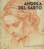 Andrea Del Sarto - Preview