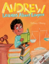 Andrew Learns About Lawyers